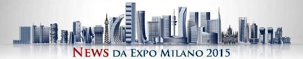 Expo