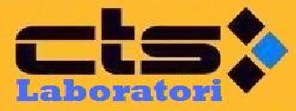 cts_yellow